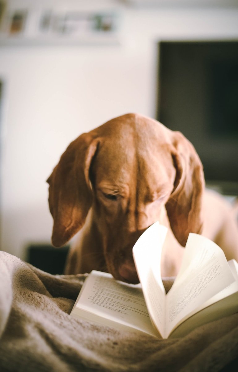 12 Free eBooks to Support Your Somatic Healing Journey 12 Free eBooks to Support Your Somatic Healing Journey