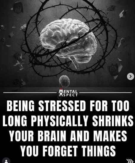 Can your brain really regrow after stress or trauma?